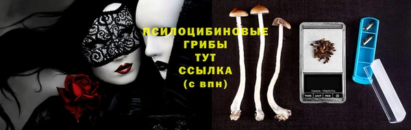 apvp Мегион