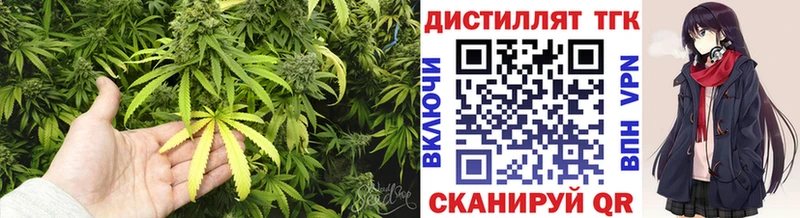 купить Кондрово ТГК THC oil