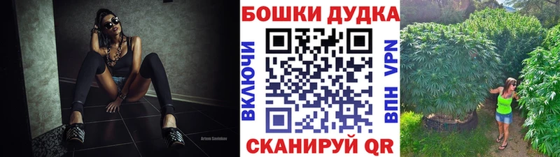 Конопля планчик  что такое   Кондрово 